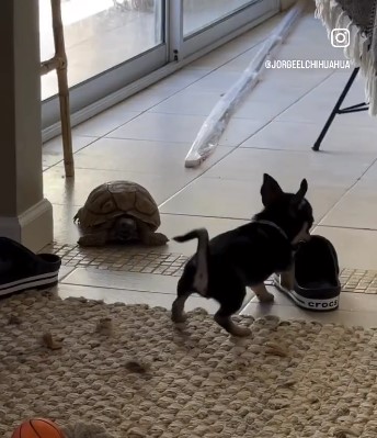 Ahora necesito un Jorge y una Beatriz en mi vida