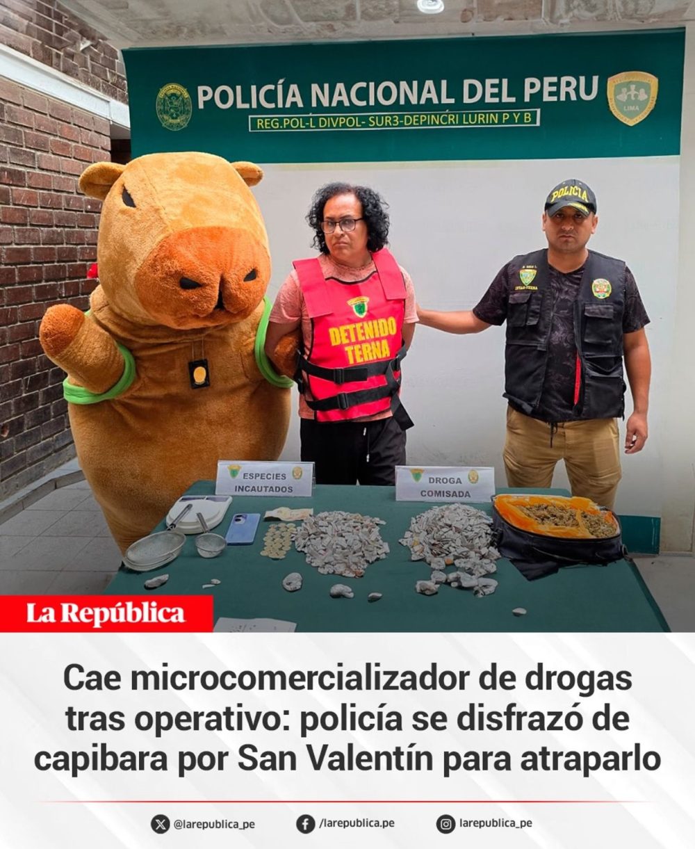 Un policía peruano se disfraza de la ‘capibara del amor’ para capturar a un traficante