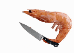 La custodia de las facturas de las gambas está en peligro.