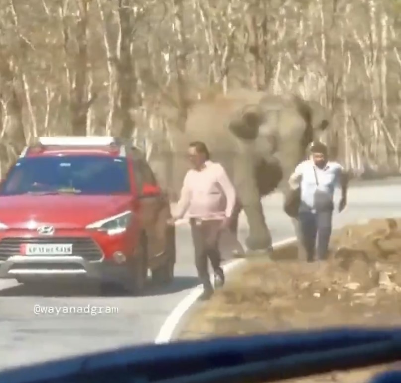 Imagina correr para salvar tu vida… Y que esto es lo más rápido que puedes correr…