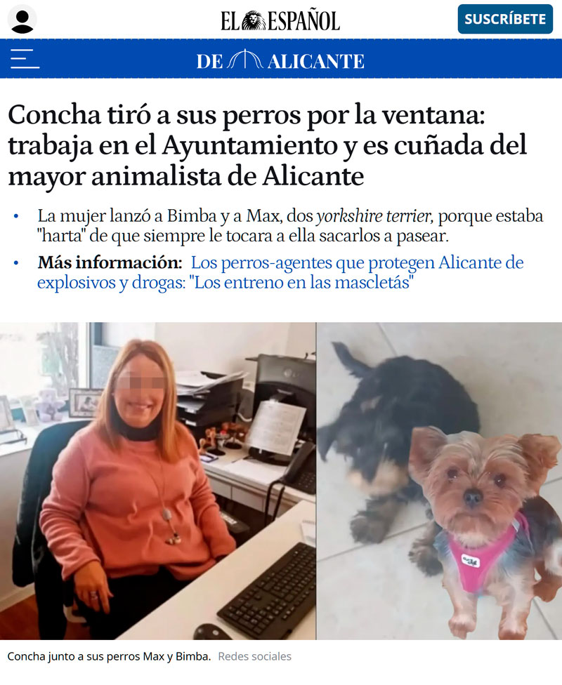 La mujer que tiró a sus perros por la ventana trabaja en el ayuntamiento y es cuñada del mayor animalista de Alicante.