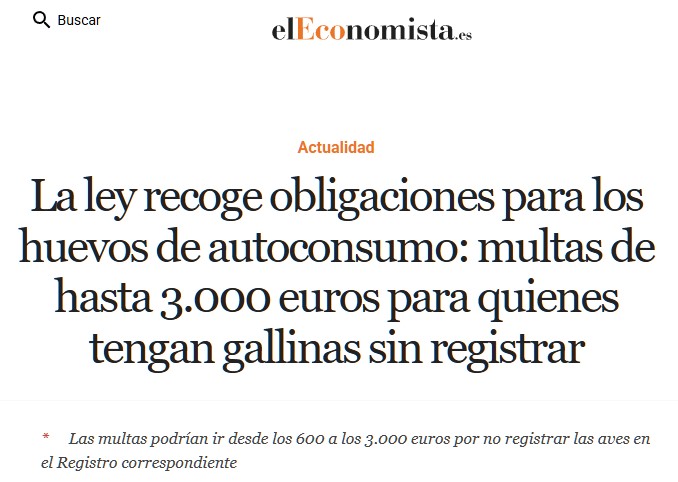 Hasta 3000 euros de multa por tener gallinas sin registrar en tu casa.