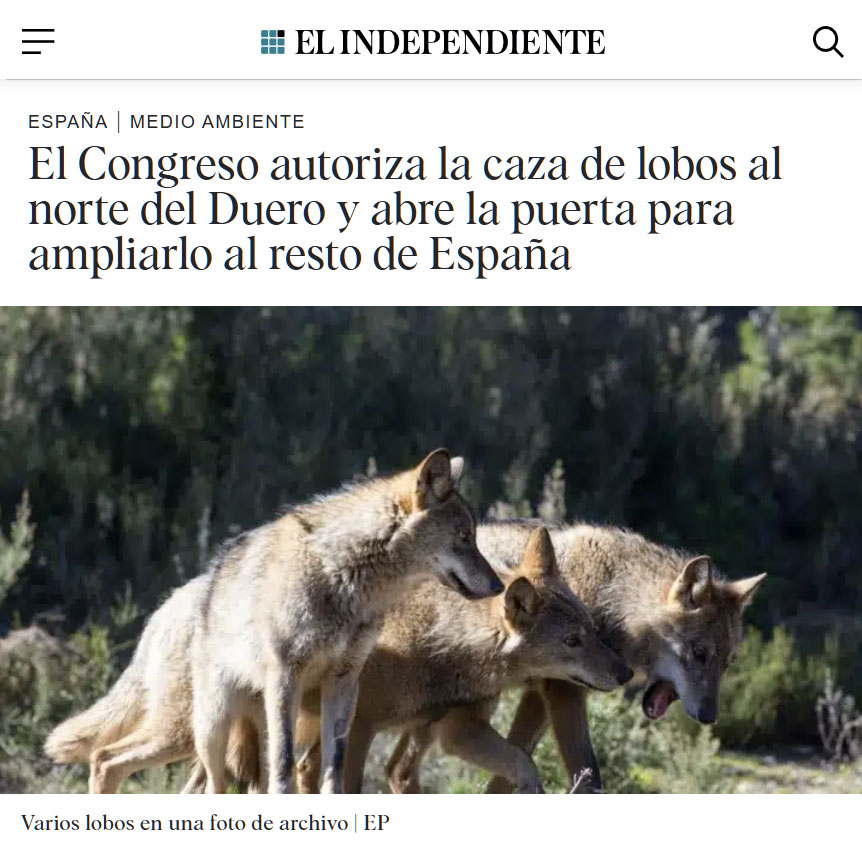 Se abre la veda del lobo.