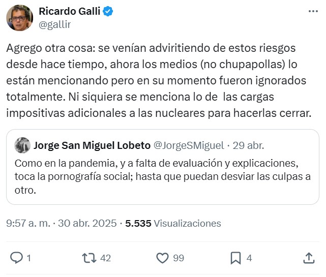 Un ingeniero avisó en marzo en el Congreso de que Red Eléctrica era una bomba de relojería.