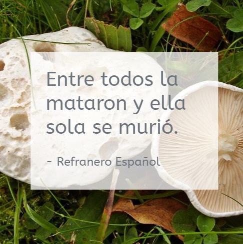 La noticia que sorprendió a nadie.