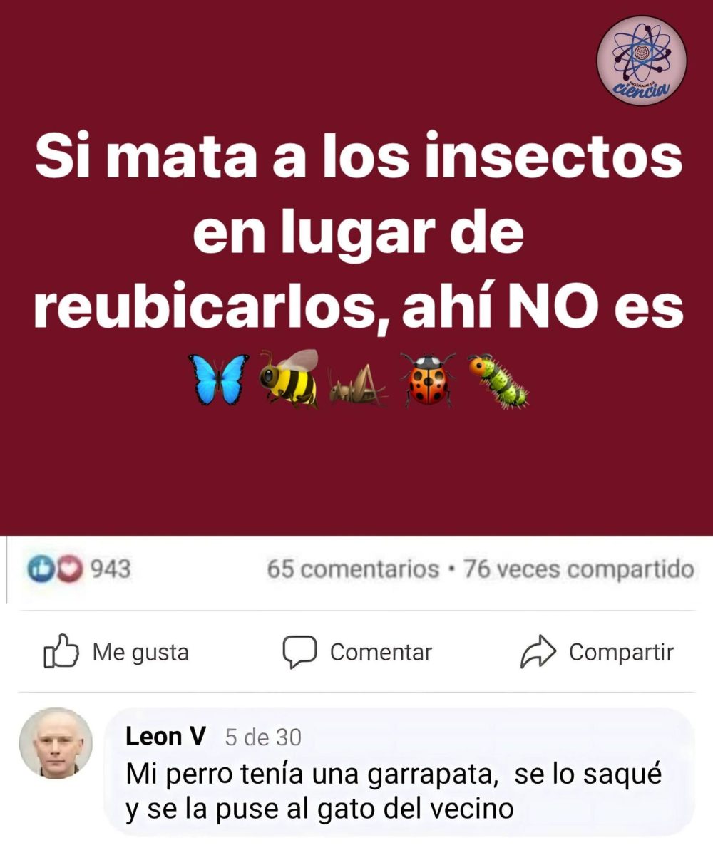 Respect.