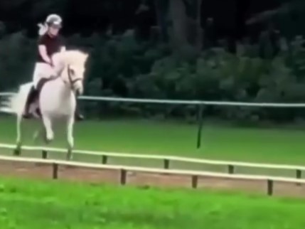El Rolls Royce de cuatro patas: el caballo islandés es famoso por su modo de andar único, el tölt, que proporciona un andar excepcionalmente suave.