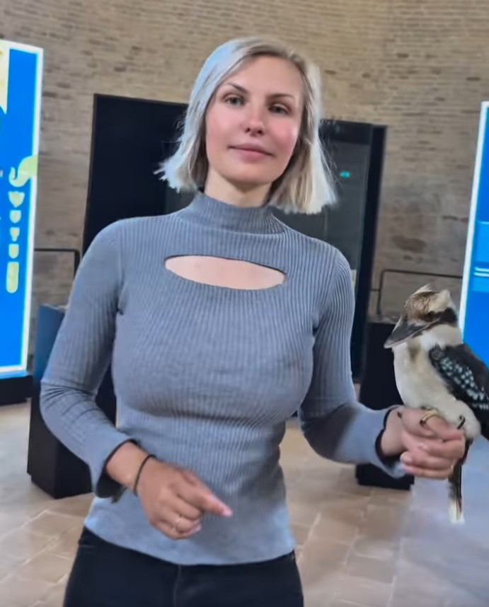 He visto el vídeo 8 veces y sigo sin saber qué pájaro es.