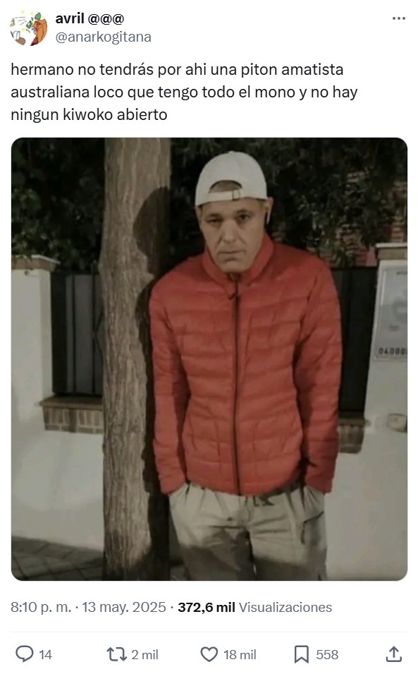 El mono.