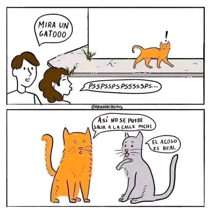 Acoso callejero.