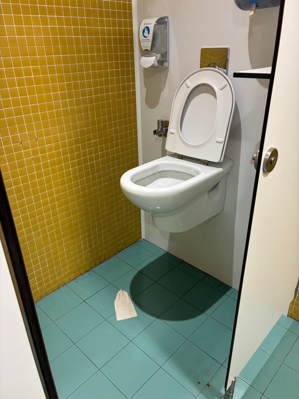 Váter no apto para bajitos visto en el Hospital de Valdecilla.