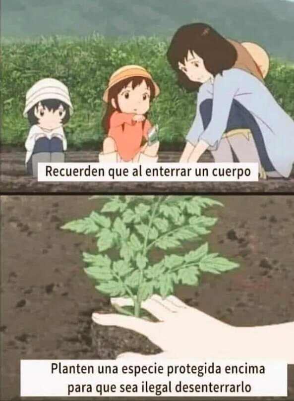 El consejo del día.