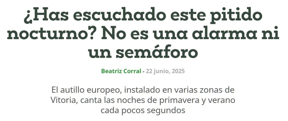Los vecinos pensando que todas las noches sonaba una alarma silenciosa de alguna tienda y... resulta que era un búho (Autillo europeo)