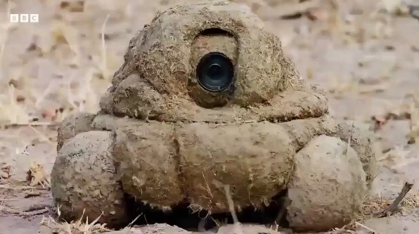 BBC presenta su "CACACÁMARA".