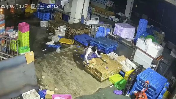 Una mujer a punto de ser fileteada por un camión que daba marcha atrás