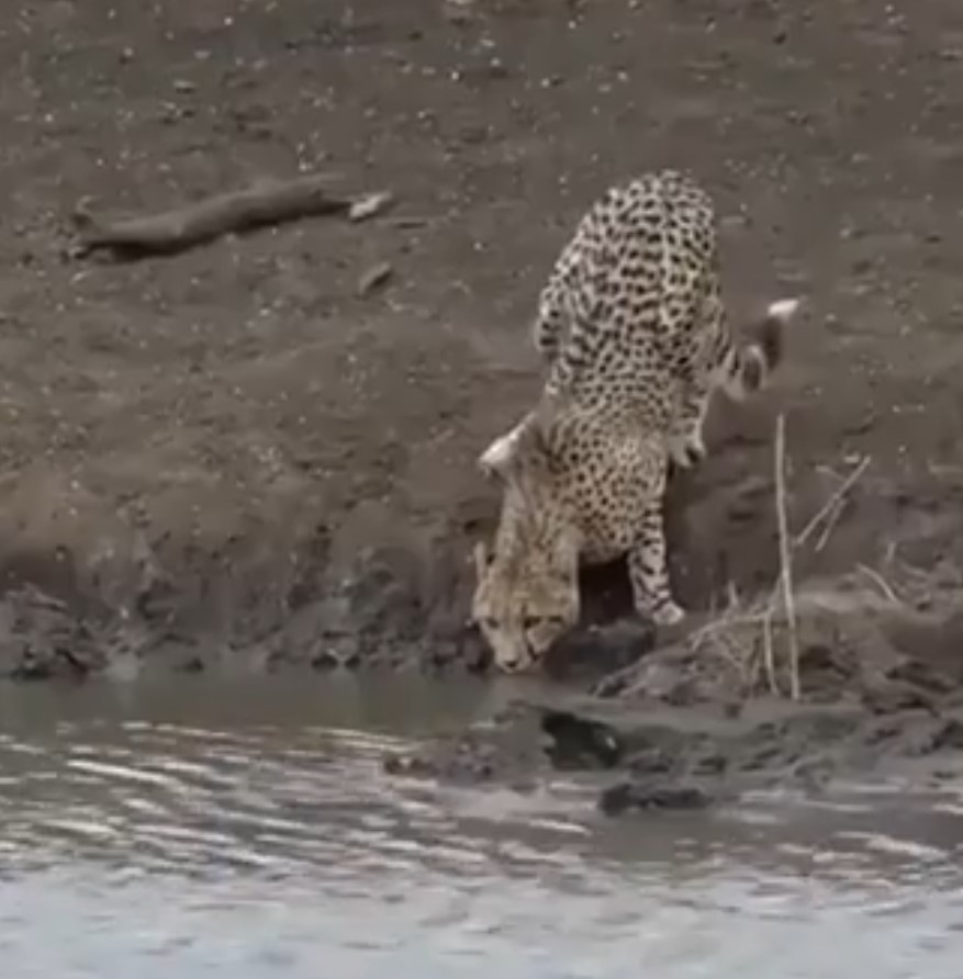La naturaleza no perdona. Bajar la guardia un solo segundo puede ser lo último que hagas.