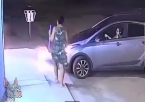 — Maaaa, hay un sapo en la entrada, me da cosa, puedes venir a quitarlo?