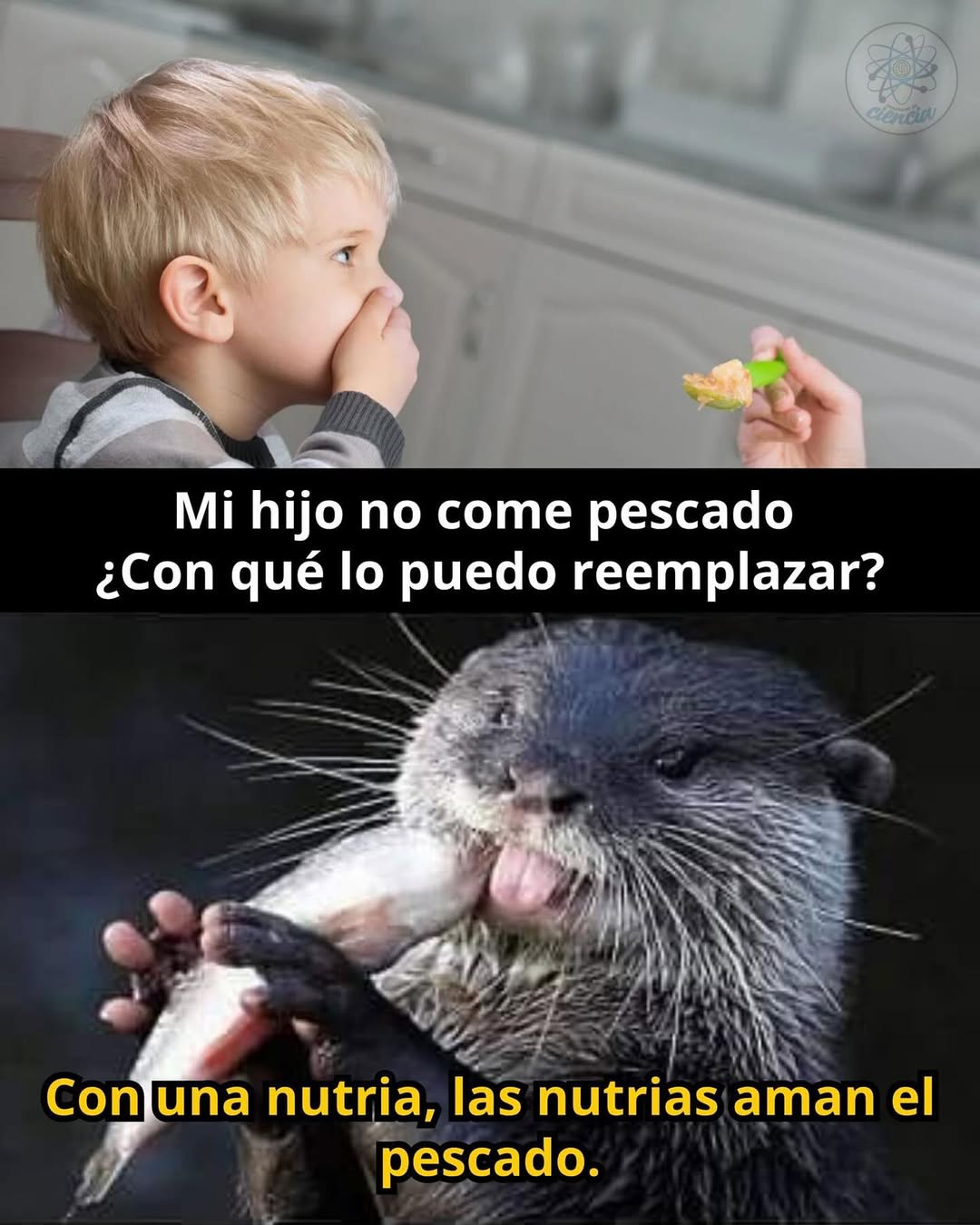 Si a tu hijo no le gusta el pescado ¿Con qué lo puedes reemplazar?