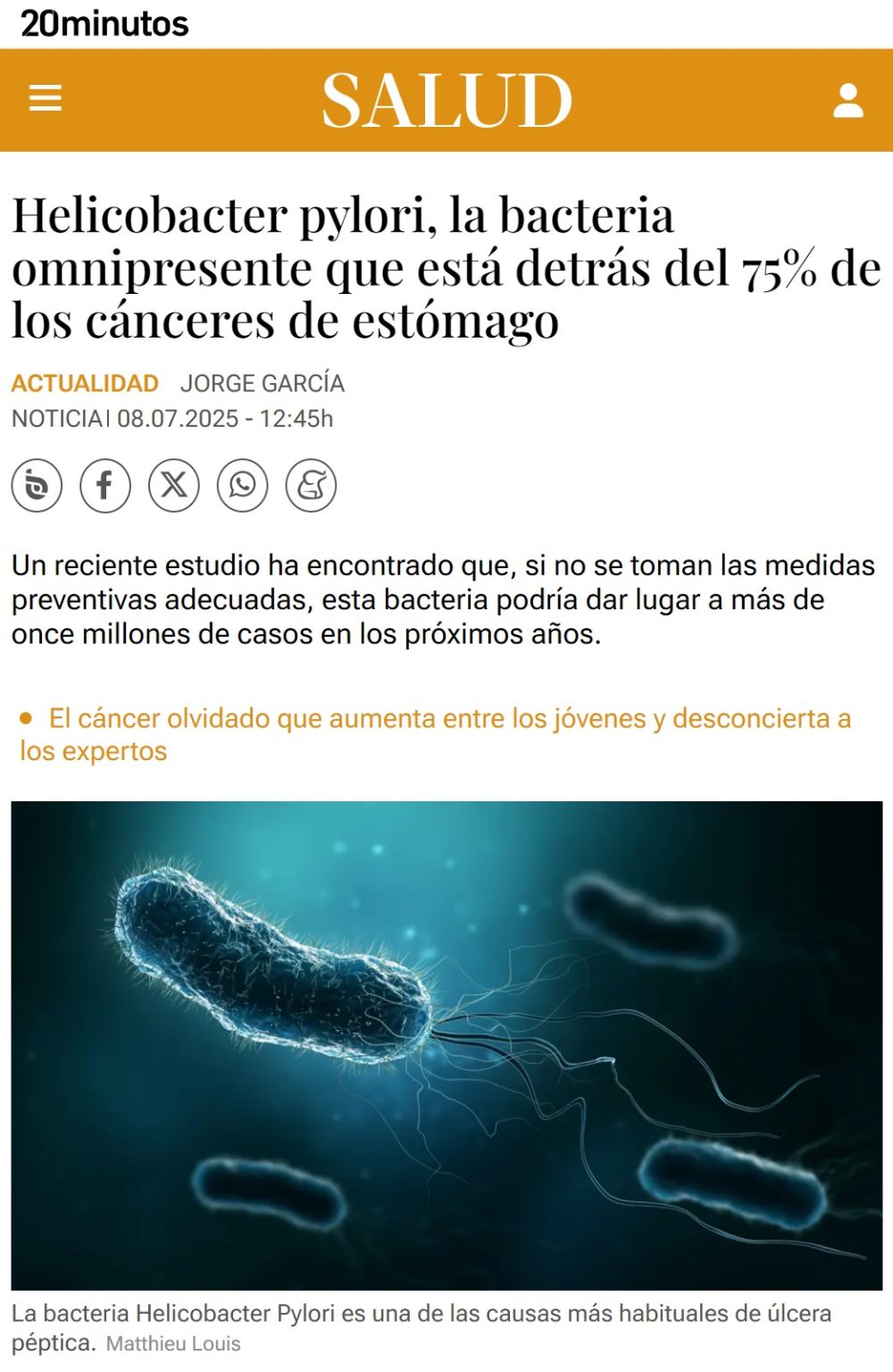 La famosa bacteria Helicobacter Pylori está detrás del 75% de los cánceres de estómago.
