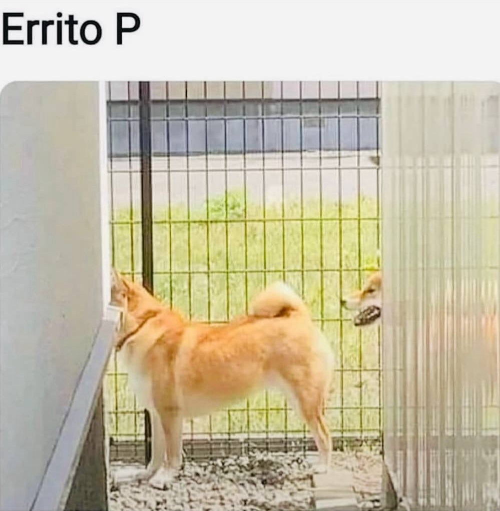 El post importante del día.