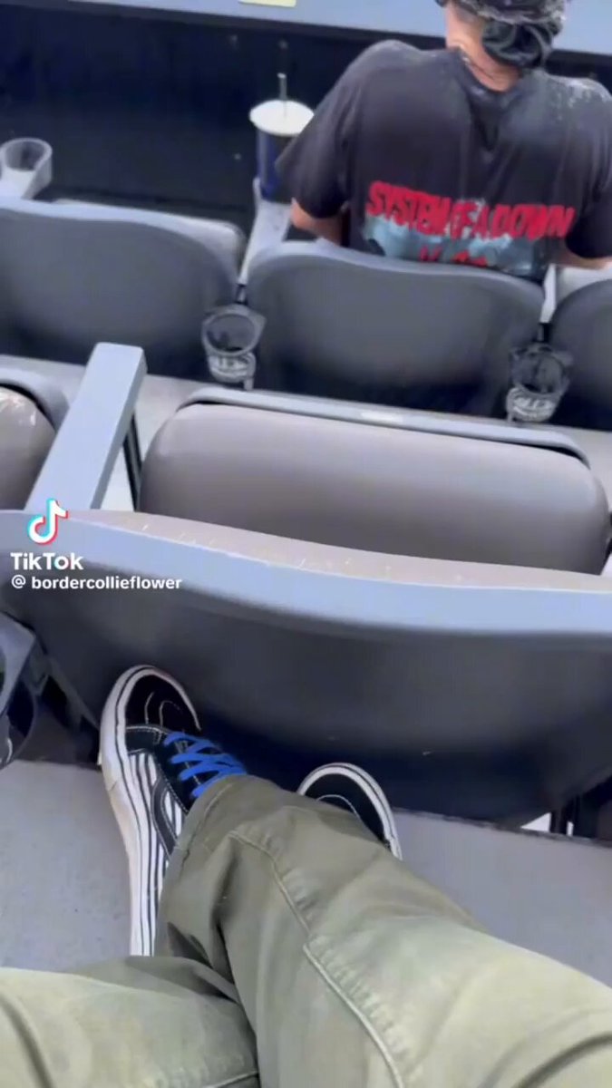 Alguien se lo pasó demasiado bien en el concierto de Korn/SOAD