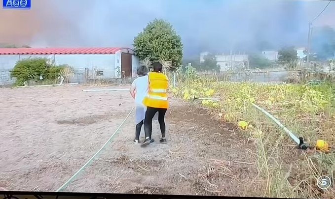Esto es demagogia... pero es verdad.