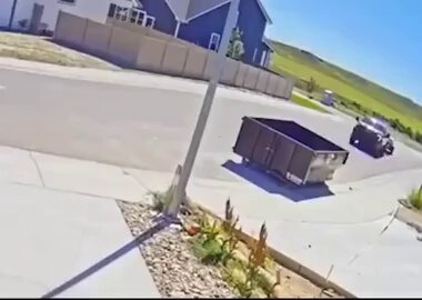 Liadita premium por ir mirando el móvil al volante.