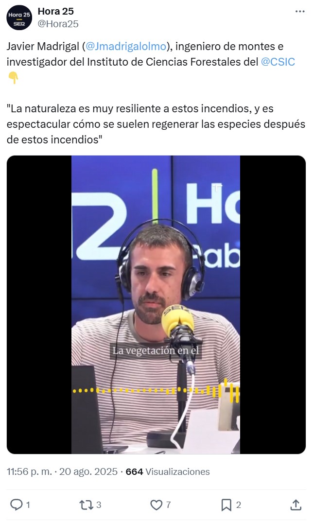 Ha vuelto a pasar...