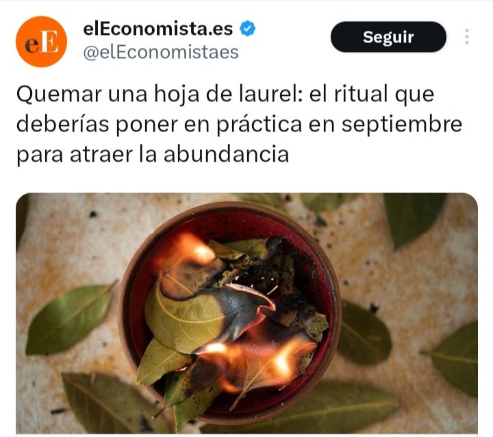 El Economista. Tu diario y cada día el de más chamanes.
