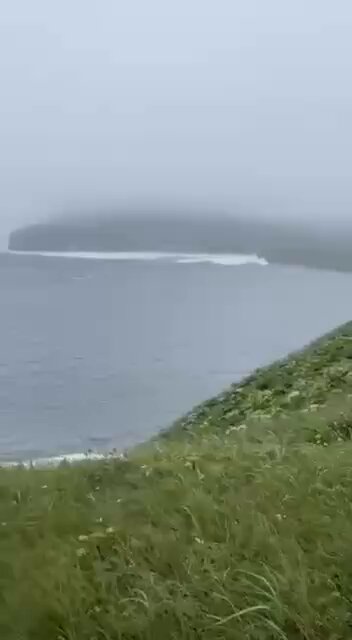 Un hombre graba por casualidad el tsunami mientras paseaba a su perro por Kamchatka.