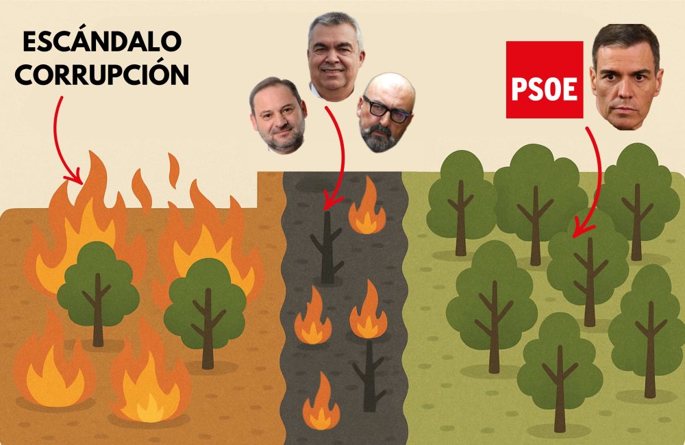 Contrafuego: fuego provocado intencionadamente para quemar algunos árboles y vegetación de forma controlada, frenar el avance del incendio principal y evitar que arda todo el bosque