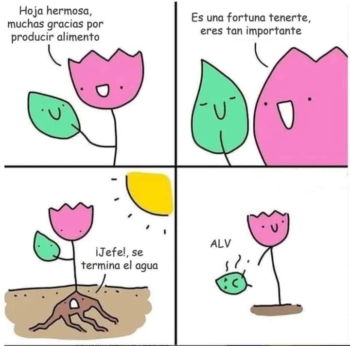 Demasiado dulce para una realidad amarga.