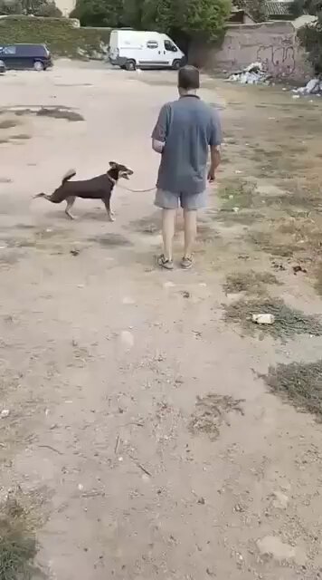 El post importante del día, by José Luis Ábalos