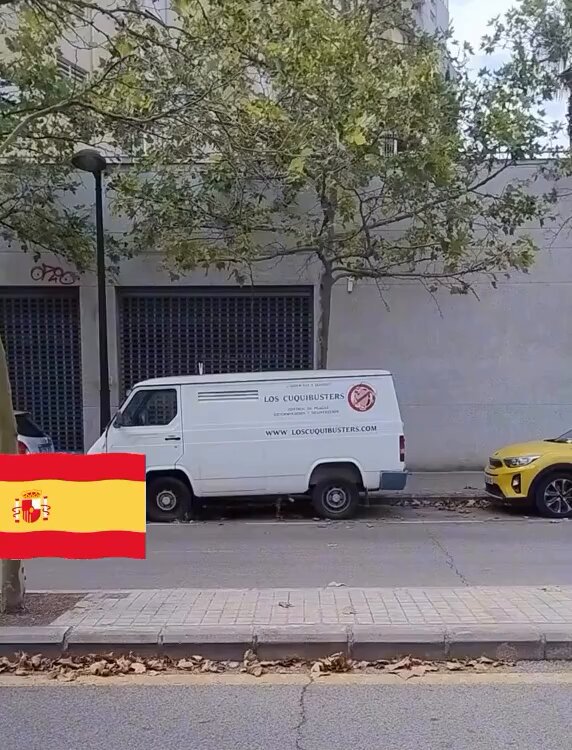 Estoy deseando tener cucarachas para llamarlos.