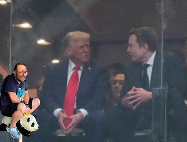 Chincheto pide chops.