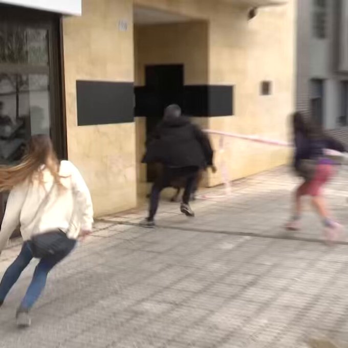 La policía logra reducir a un carnero con la ayuda de una protectora de animales en Gijón.