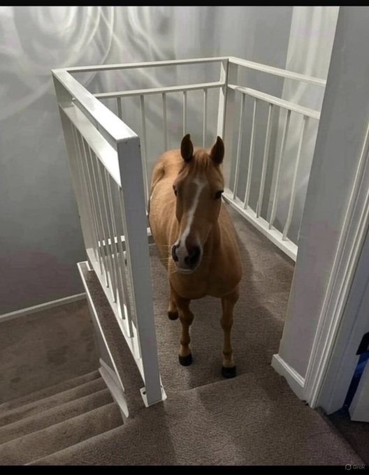 ¿Qué pondrías en este espacio?