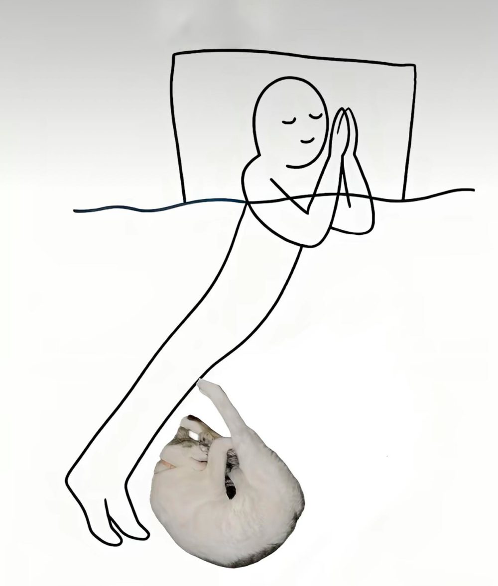 Cuando me pregunten cómo dormí anoche.