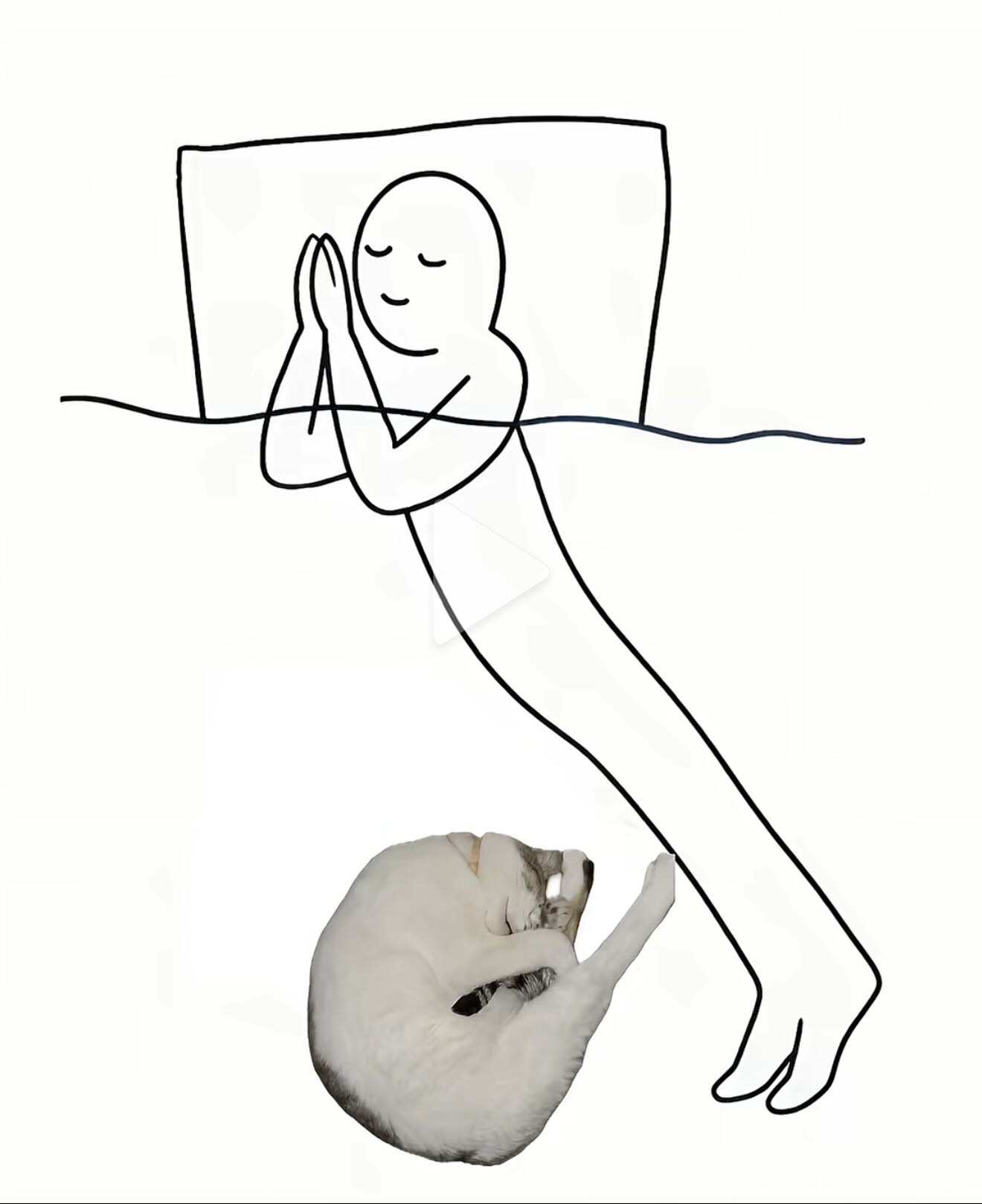 Cuando me pregunten cómo dormí anoche.