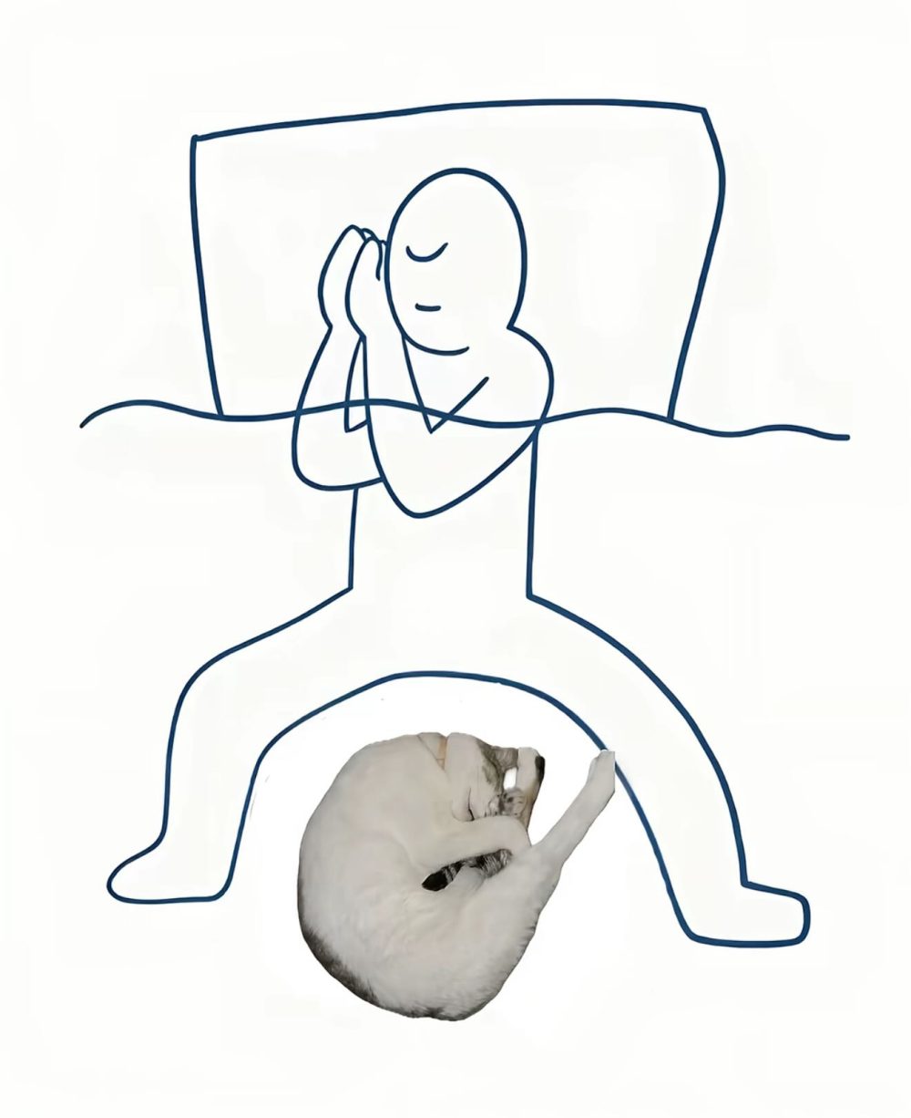 Cuando me pregunten cómo dormí anoche.