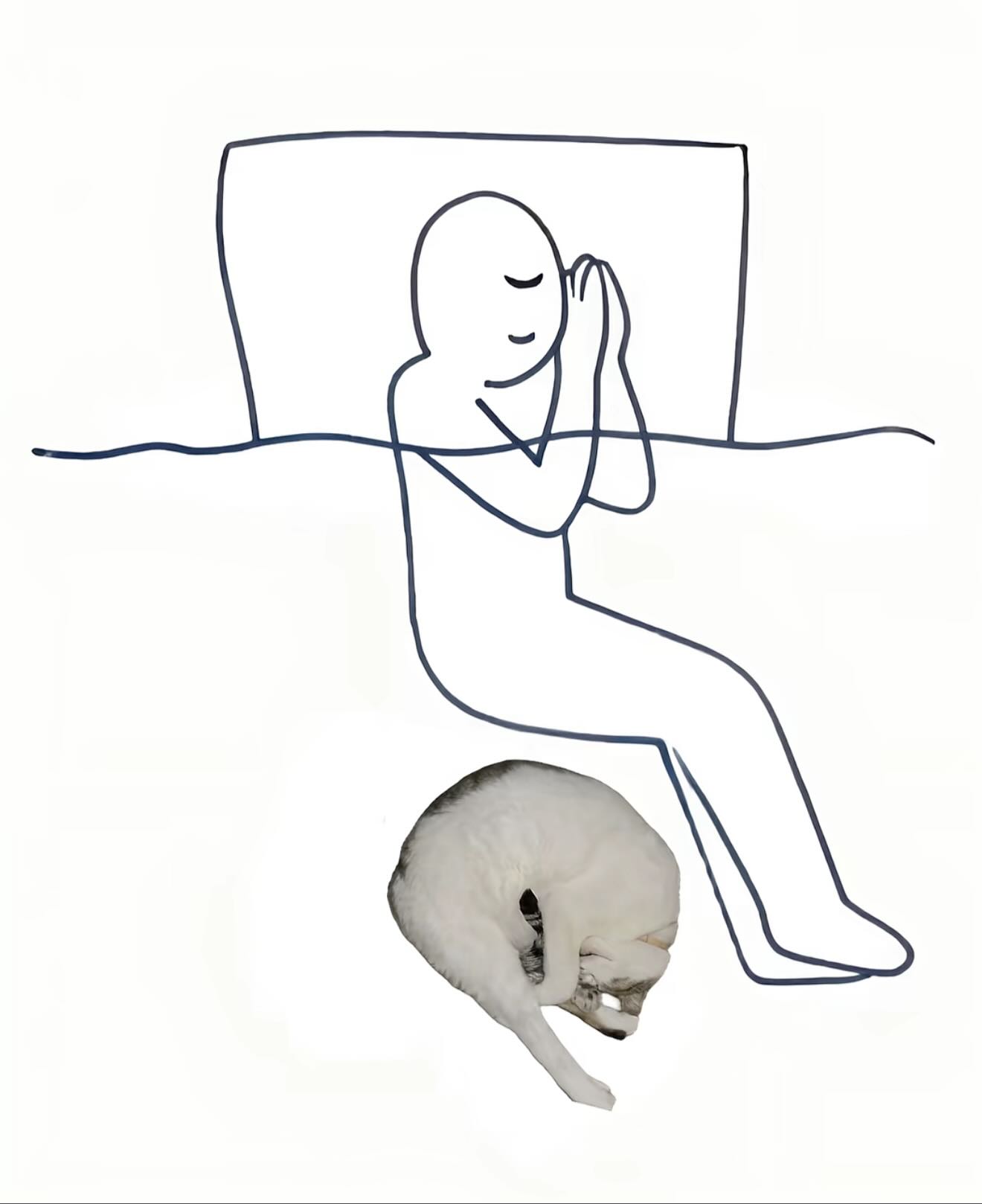 Cuando me pregunten cómo dormí anoche.