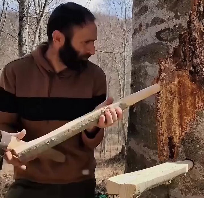Construyendo una cabaña en un árbol para sobrevivir en el bosque.