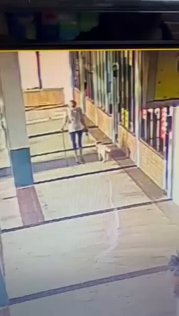 Una mujer de 70 años mordió a un pitbull para salvar a su perro de 14 años.