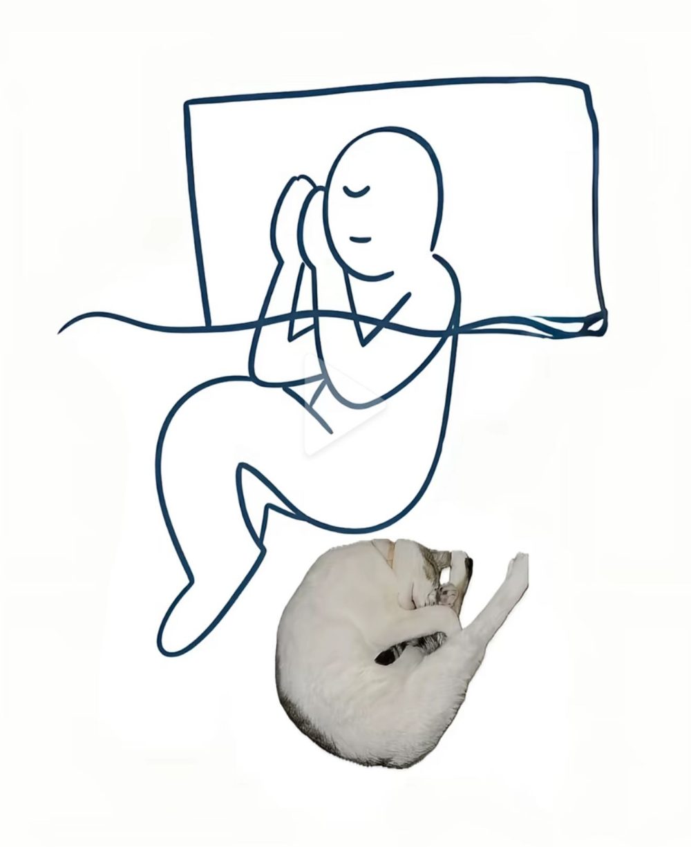 Cuando me pregunten cómo dormí anoche.