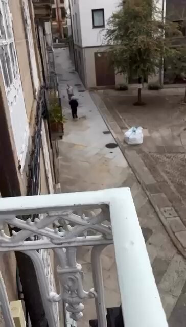 Vecinas colegas que solucionan sus diferencias a escobazos.