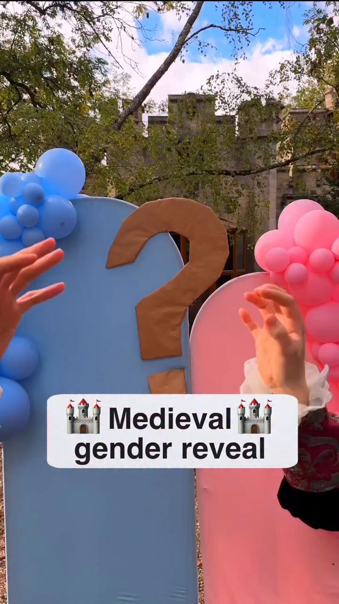 Gender reveal medieval.