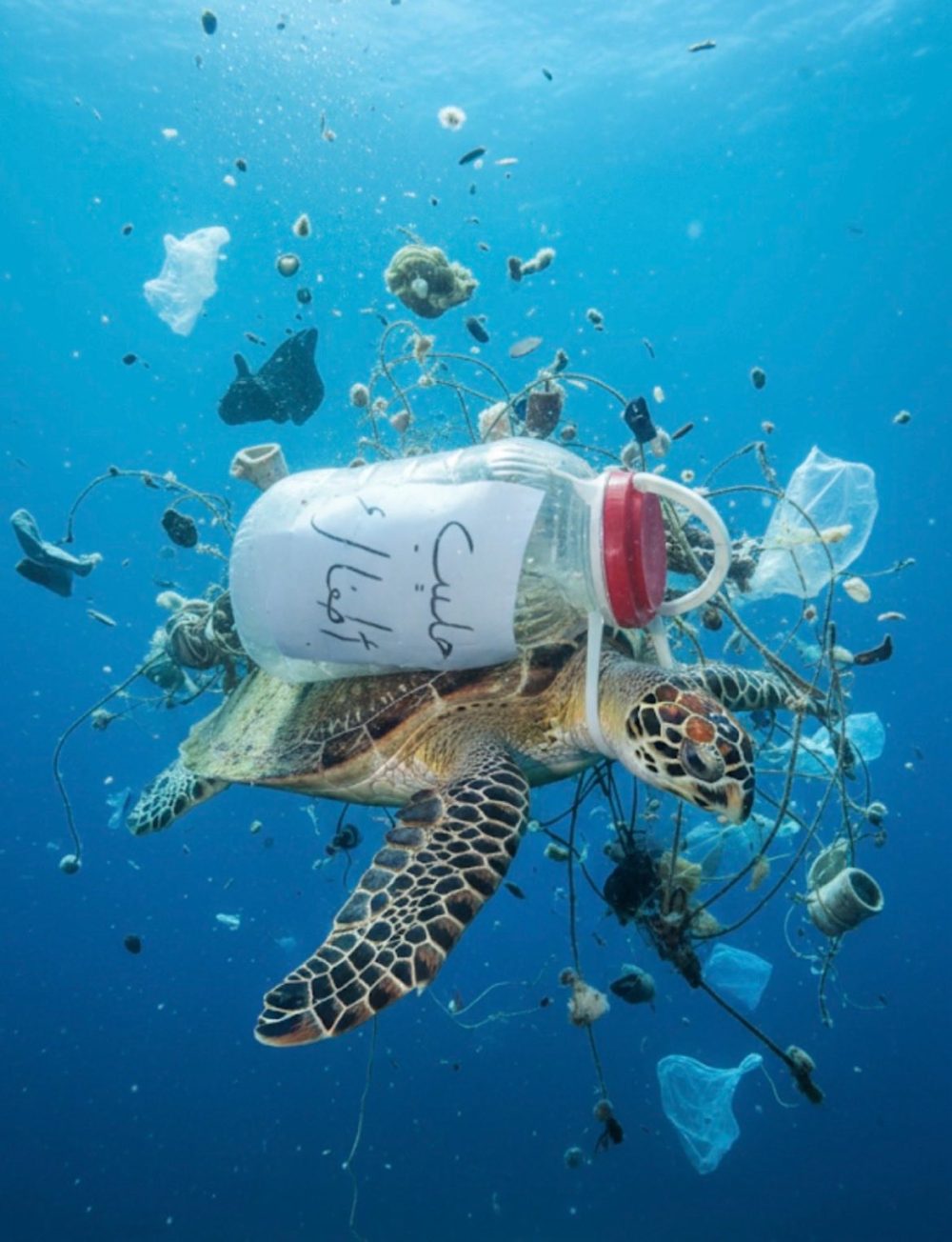 El corredor humanitario era lanzar a 100 millas de la costa las cuatro latas de fuagrás que no quería nadie y dos cajetillas de ibuprofeno que han pillado del botiquín.