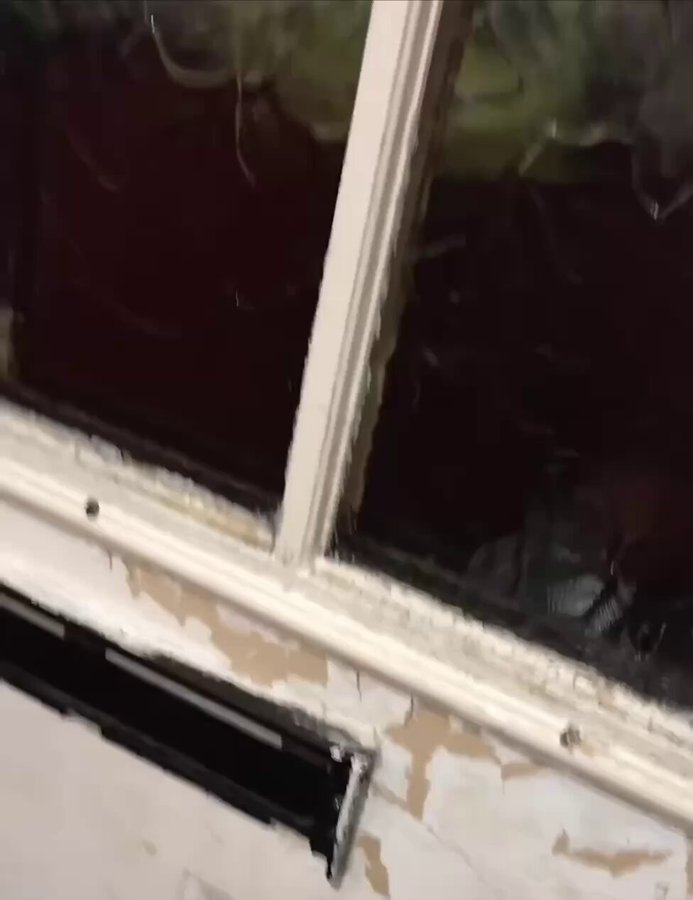 Un video difundido por el activista Tommy Robinson muestra a la policía británica despertando a una mujer a las 2:30 de la mañana para 'aconsejarle' que borre una publicación de sus redes sociales.