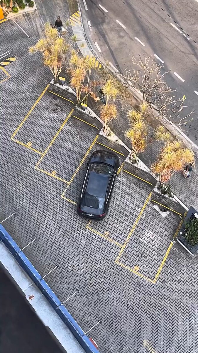 Apostando sobre seguro.