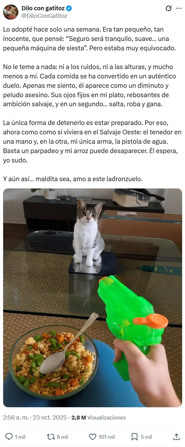 "Seguro que será tranquilo"